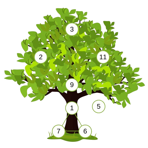 Arbre symbolique de la numerologie stratégique
